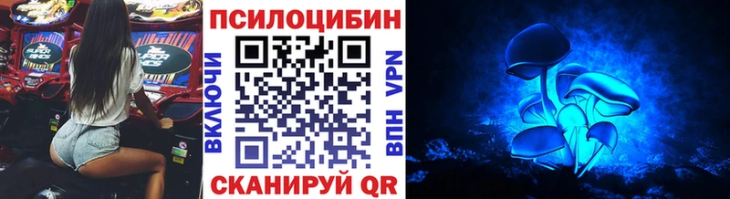 кракен Катав-Ивановск Галлюциногенные грибы Cubensis
